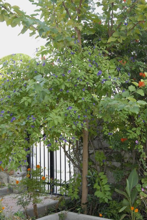 דירות איריה 'Αγριοι Λιμένες מראה חיצוני תמונה